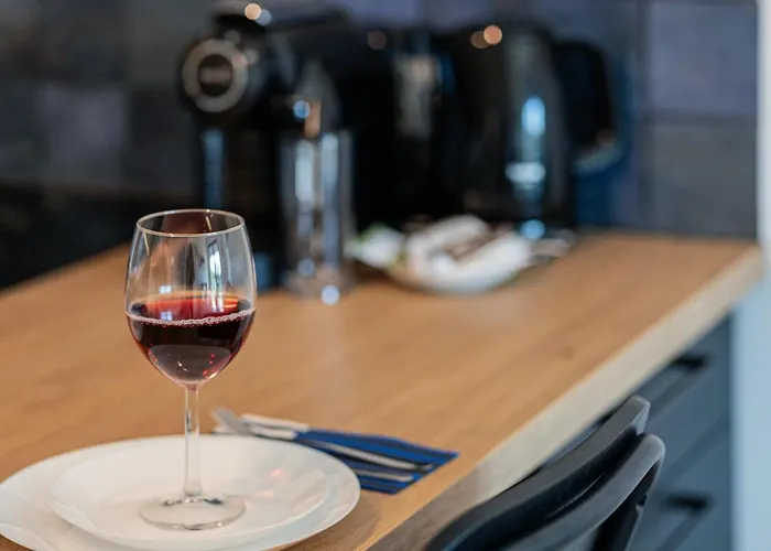 Modern With Balcony By Renters 公寓