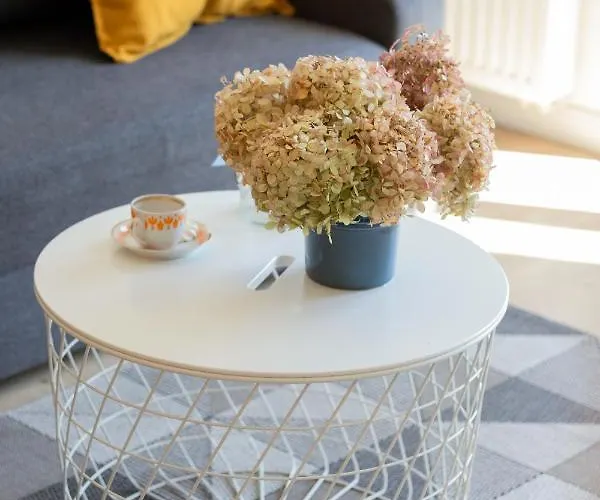 Modern With Balcony By Renters